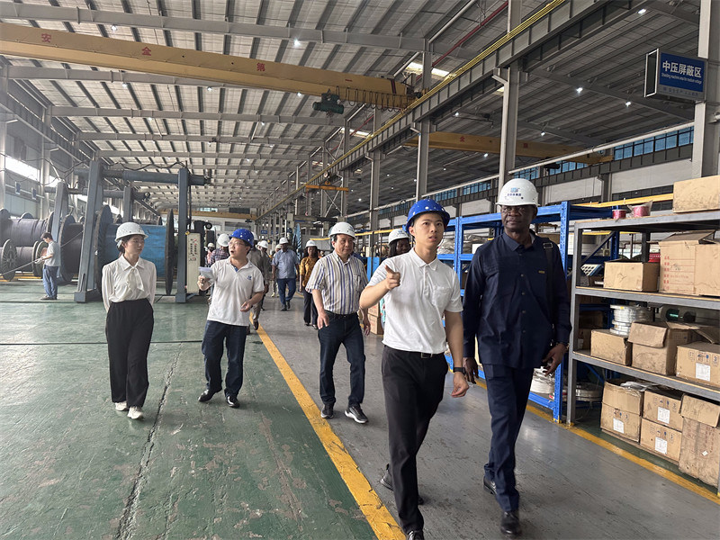 Vervaardiging van elektrische kabels, elektrische kabels, elektrische kabels, elektrische kabels, elektrische kabels